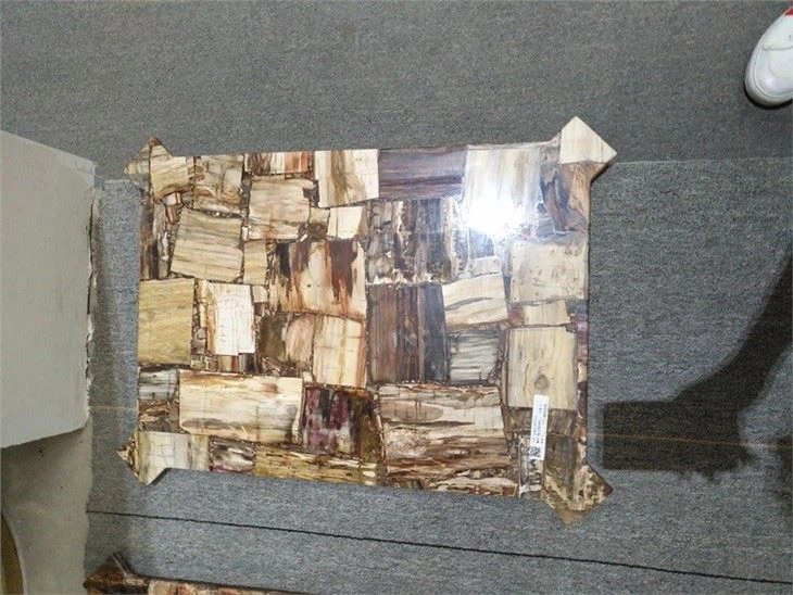 Semi Precious Stone Petrified Wood Slab