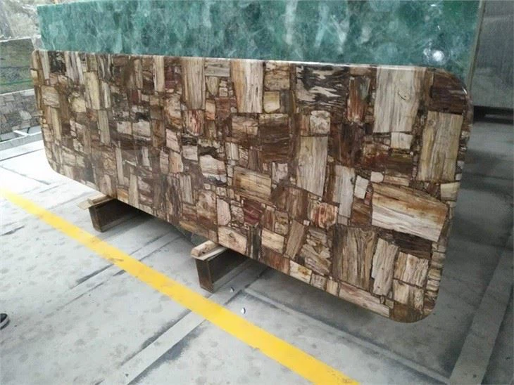 Semi Precious Stone Petrified Wood Slab